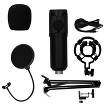 Germany and Japan imported technology cross-border e-commerce new BM800 microphone manufacturer direct sales condenser microphone hand