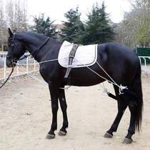 Suo training harness boutique balanced backpack Feilong Juhao horseback belly belt horse training horse eight-foot equestrian belt training
