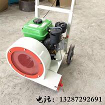 Small road dust blower face type hand push type oil road steam blower road 554178 hair dryer