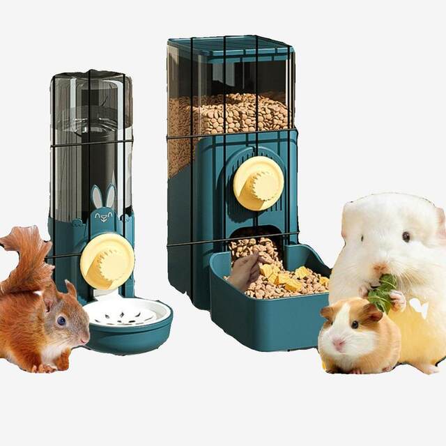 Totoro and Squirrel Automatic Feeder Golden Bear Guinea Pig Guinea Pig Special Food Bowl Drinking Fountain Anti-Knock over Lunch Box Bowl