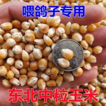 20 Kg Corn Grain Northeast Small Grain Corn Medium Grain Corn Feed Pigeon Chicken Duck Goose Bird Feed New Dry Corn Seed