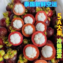Thailand imports 5A special grade mangosteen fresh seasonal large fruit oleifera seasonal tropical fruit for pregnant women tender and refreshing