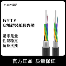 Xiancheng xianc outdoor loose tube layer twisted light armored aluminum tape GYTA4 8 12 24 48 96 144 core optical cable