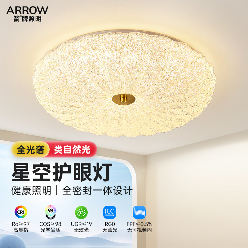 箭牌法式轻奢卧室灯护眼房间主灯具简约现代走廊灯星空过道吸顶灯
