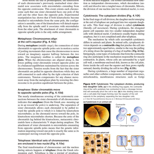 Genetics: from Genes to Genomes