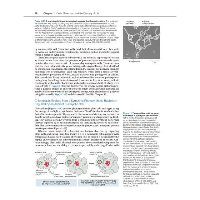 Molecular Biology of the Cell 7Th Edition