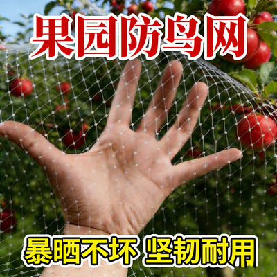 Greenhouse bird-proof net, orchard-specific sky net, bird-proof cover for fruit trees, grapes and cherries, balcony and fish pond breeding protection net