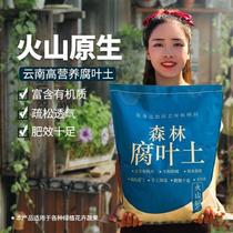 Mature leaf soil breathable and loose forest humus soil succulent flower and vegetable household fertilizer general nutrient soil