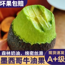 Mexican imported avocado fresh fruit 10 packs ready-to-eat complementary food for pregnant women and babies avocado avocado