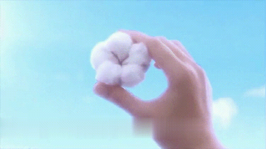 20240721_144224_005.gif