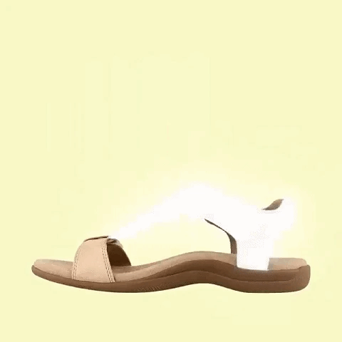38.gif