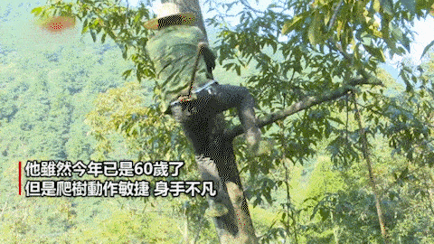 007.gif