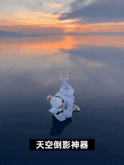 14.gif