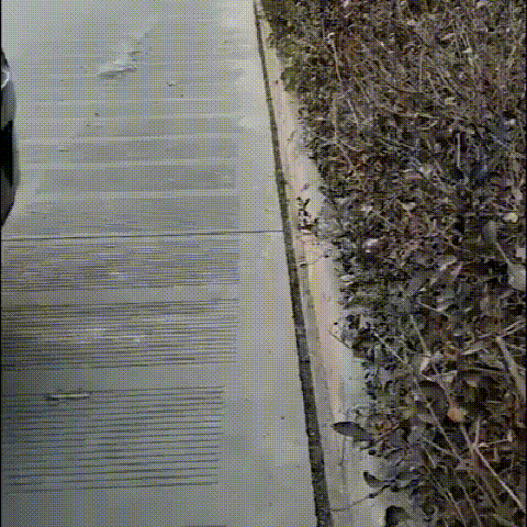 DM_20240914112928_011.gif