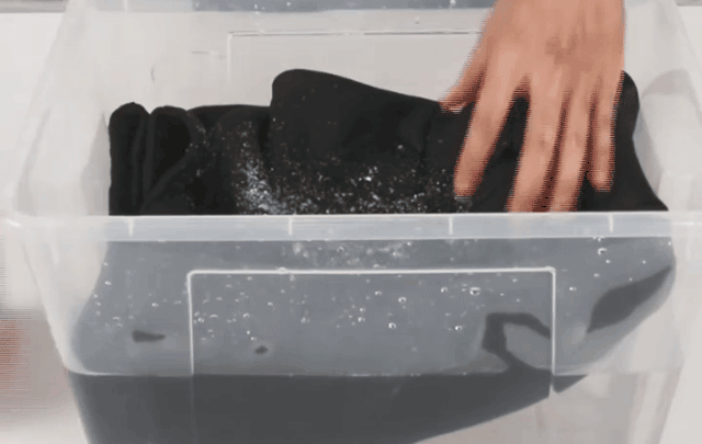 20241218_093653_023.gif