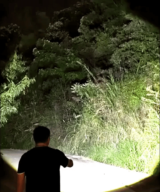 P_127.gif
