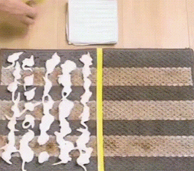 DM_20241213134002_011.gif