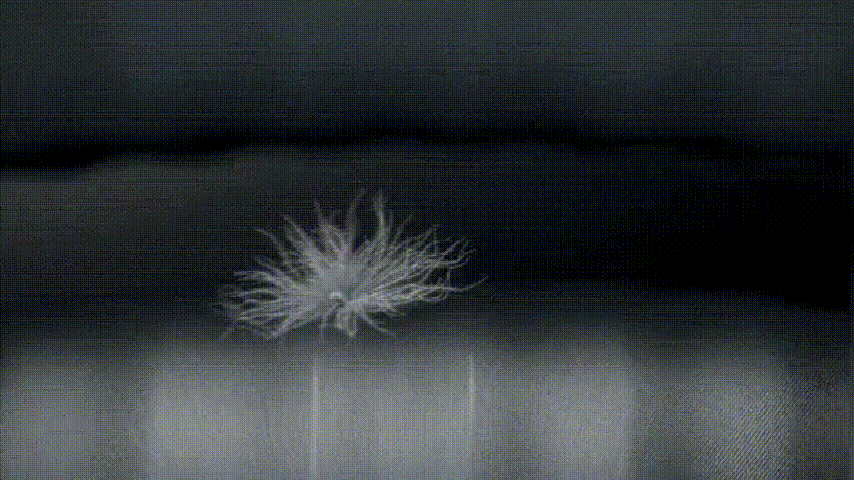 20241110_170857_029 (1).gif