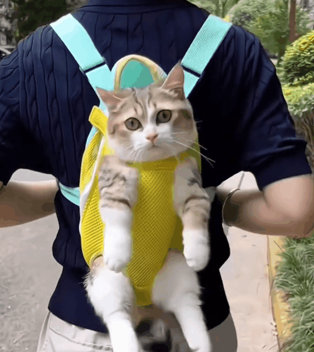 录制2.gif