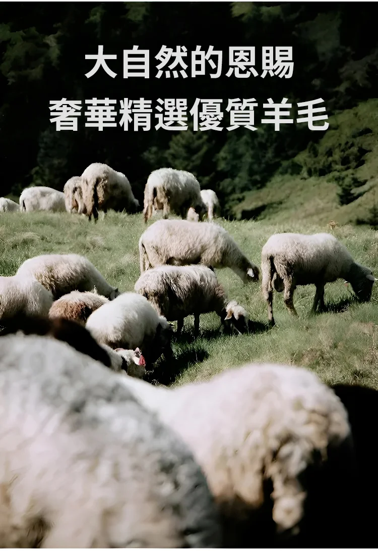 010.webp
