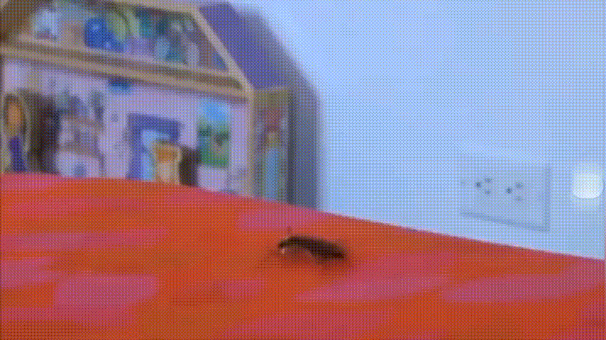 20260407_100254_010.gif