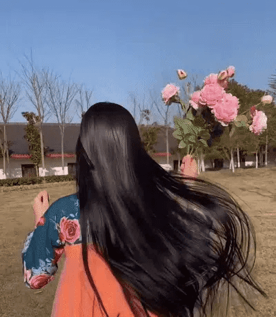 23.gif