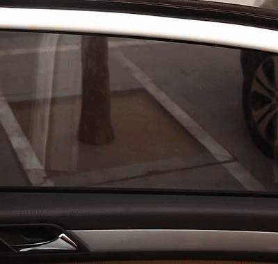 010.gif/