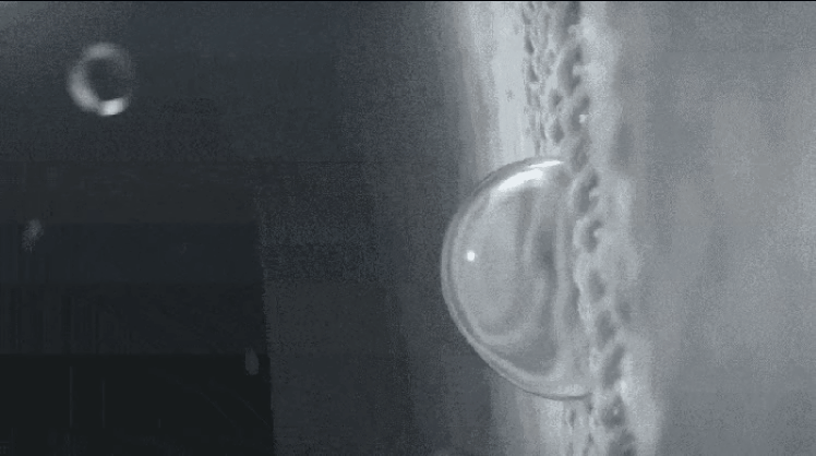20240621_144400_009.gif
