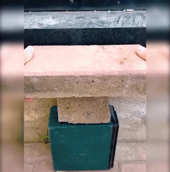 DM_20240521150824_022.gif