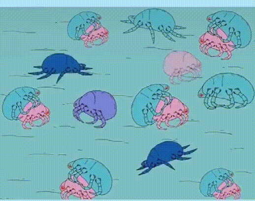 20260427_150145_076.gif