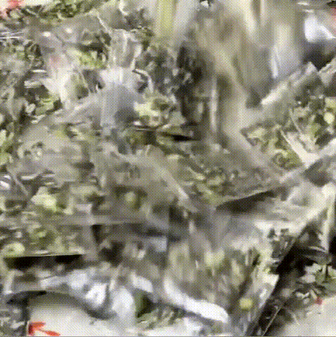 10 (1).gif