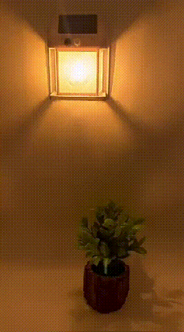 20240711_111558_015.gif