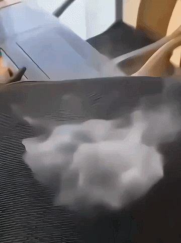 21.gif/