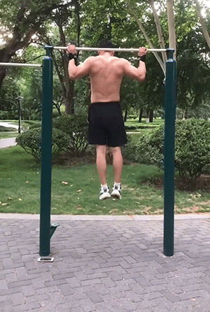 P_019.gif