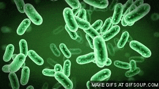 20260512_145416_004.gif