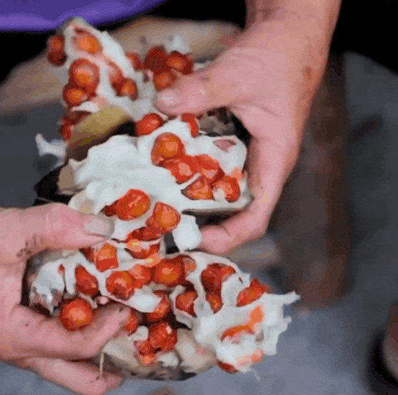 pic_022.gif