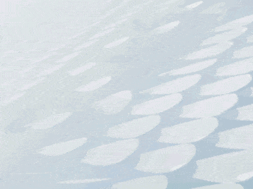 DM_20240505100345_019.gif