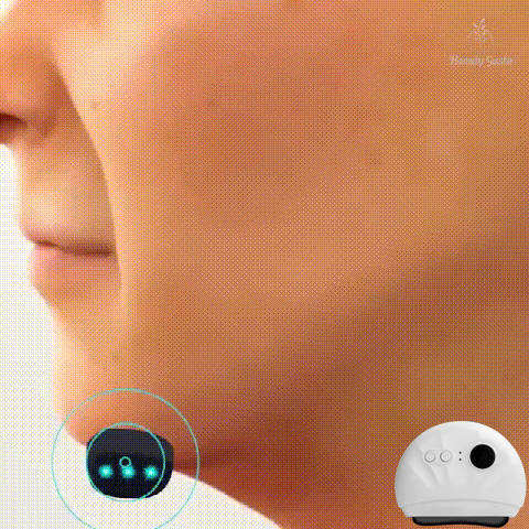 20240819_130540_010.gif