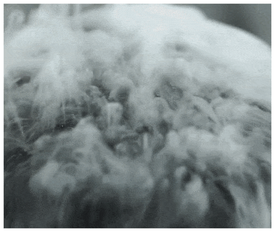 20240604_143618_051.gif