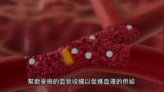 10008.gif