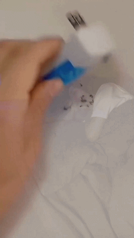 P_017.gif