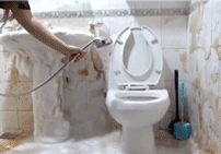 20260527_135242_006.gif