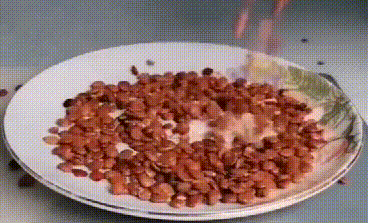 20241007_115936_020.gif