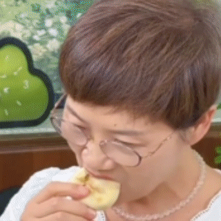 P_010.gif