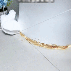 20260527_135242_002.gif