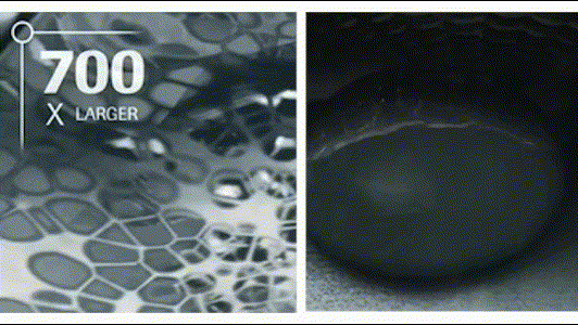 20240826_172600_017 (2).gif