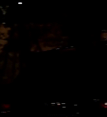 DM_20241023160402_015.gif