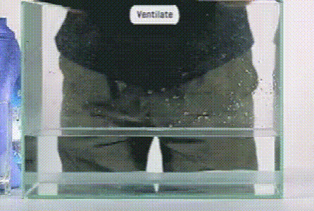 20250221_095939_018.gif