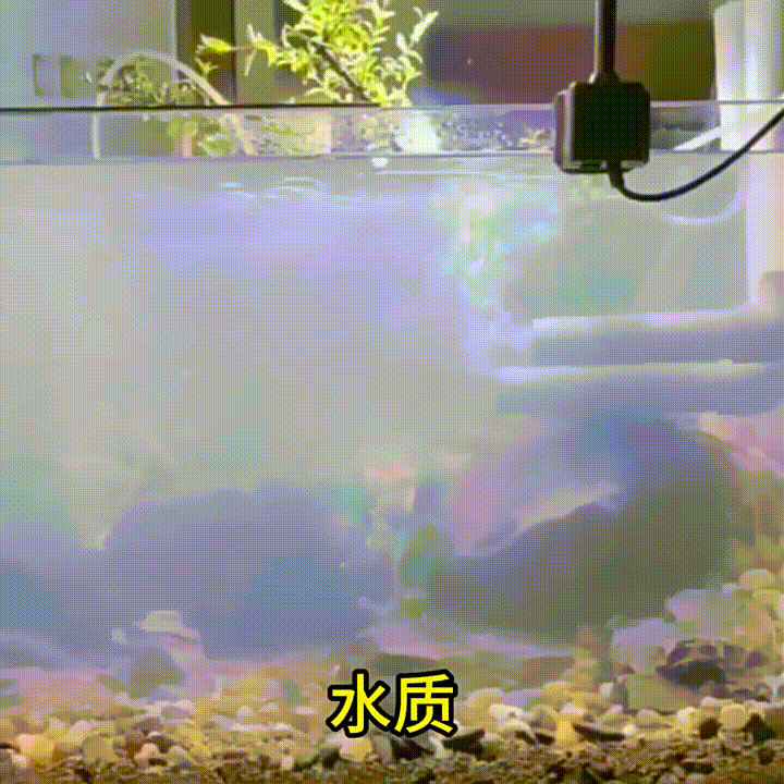 02.副本.gif