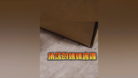 20240614_143945_007 (1).gif